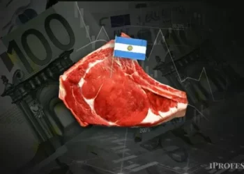 Acuerdo Mercosur-UE: Europa protesta y la carne argentina mira una motivo histórica