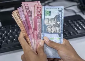 Portafolio y el año nuevo