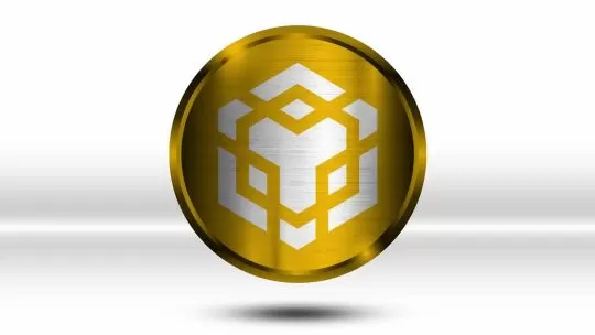 Bitcoin, Ethereum y BNB: a cuánto cotizan las criptomonedas presente, miércoles 31 de diciembre