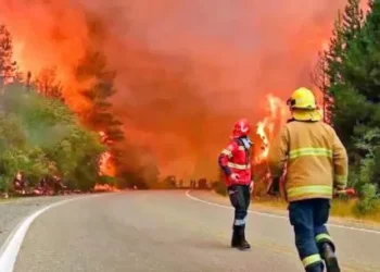 Clima y posibilidad: el pronóstico que podría frenar la furia del fuego en la Patagonia