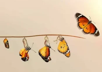 Acto de dignidad: “Eso ya no es suyo”