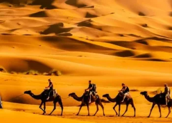 Vestirse de negro bajo el sol