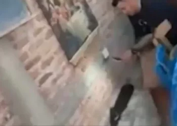 Una mujer encontró una víbora de casi dos metros en la cocina en una capilla de Chaco