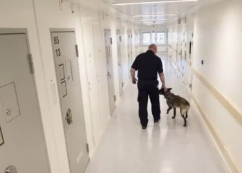 Suecia toma una drástica decisión: propone depreciar la edad penal de 15 a 13 años para los delitos más graves