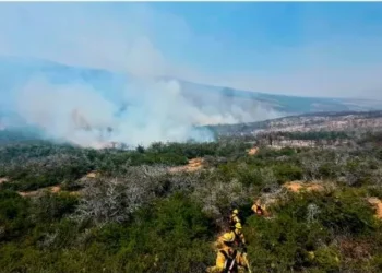 Las lluvias en la cordillera trajeron un breve alivio, pero no lograron frenar el anticipo del fuego en la Patagonia