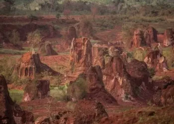 Tierras raras | A confesión de partes, relevo de pruebas