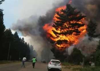 Epuyén tras el fuego: el intendente confirmó que se quemó un centenar de casas en bis años