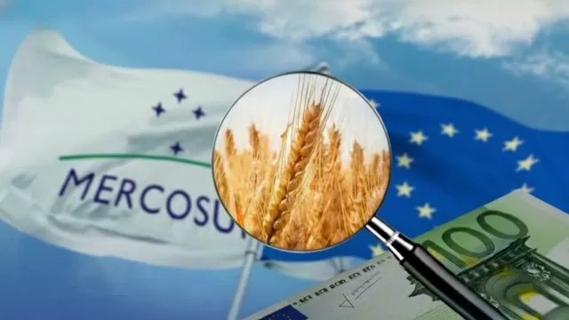 El Senado aprobó el acuerdo Mercosur-UE: oportunidades para productos argentinos