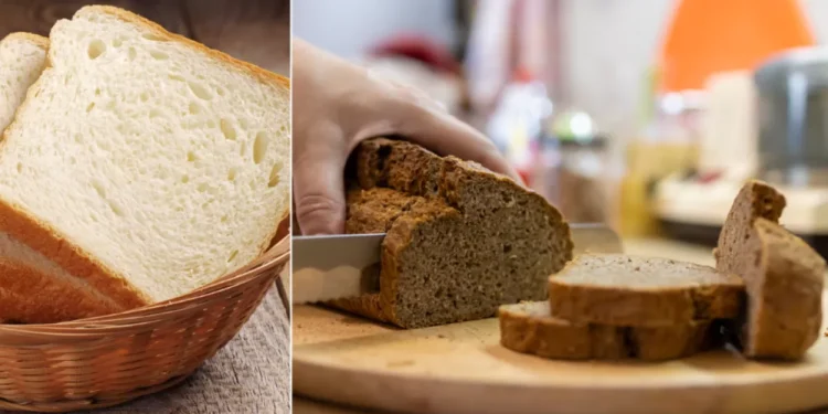 Cómo preparar pan de canon fácil y rápido: receta completa para hornear en casa