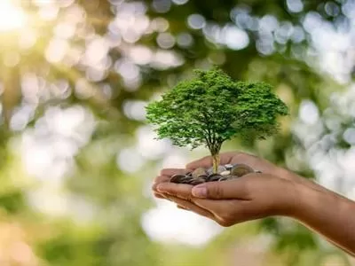 El costo invisible de la demora ambiental