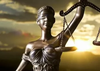 El Estado que aprende a operar con eficiencia