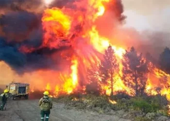 Chile y Argentina, el juego de las diferencias
